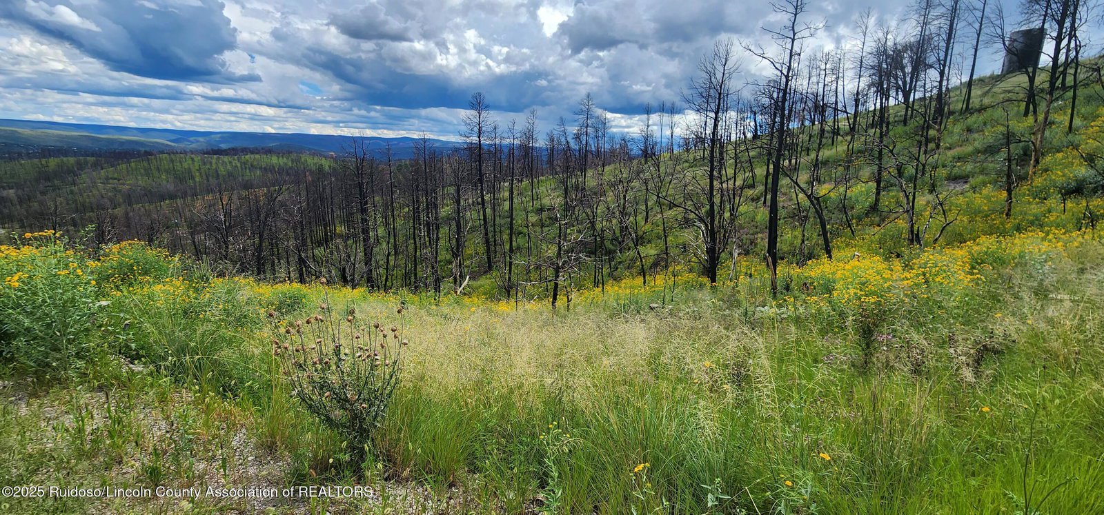 108-big-pines-pl-ruidoso-88345