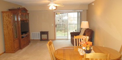 15631 Linnet Street NW Unit #3-301, Andover