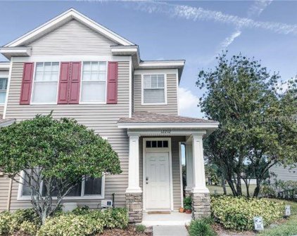 12212 Country White Circle, Tampa