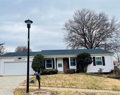 6879 Finchdale  Court, Florissant