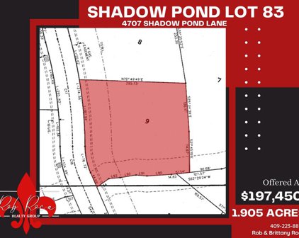 4707 Shadow Pond Ln, Alvin