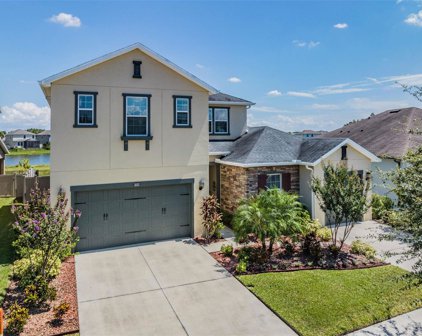 32223 Firemoss Lane, Wesley Chapel