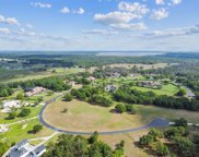 11423 Hammock Oaks Court, Lithia image
