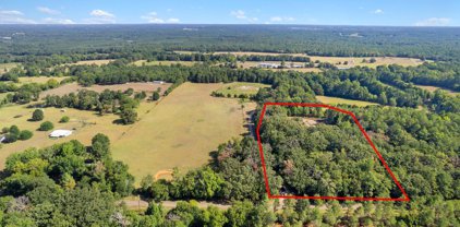 LOT 5 CR 2138 (OLD TYLER HWY), Troup