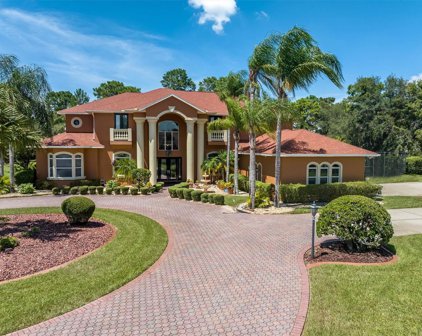 12383 Easthaven Drive, Spring Hill