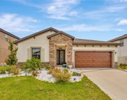 12656 Shetland Walk Drive, Lithia image