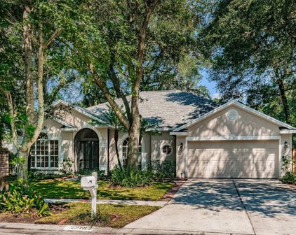 2102 Fawn Meadow Drive, Valrico