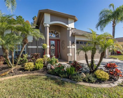 1149 Dustan Place, Trinity