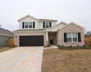 22356 Mountain Pine Drive, New Caney image