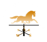 Chrissoliminesellscentraltexas.com
