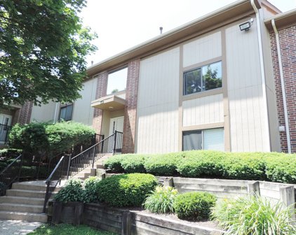 371 Wilmington Drive Unit #203E, Bartlett