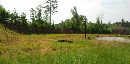 7079 Walham Grove, Johns Creek