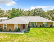 7642 N Nature Trail, Hernando image