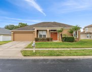 3451 Fortingale Drive, Wesley Chapel image