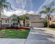 10130 Deercliff Drive, Tampa image
