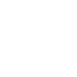 Map Icon