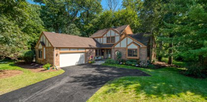 717 Chestnut Court, Bartlett