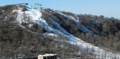 303 Sugar Top Drive Unit 2901, Banner Elk