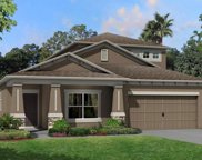 31627 Holton Court, Wesley Chapel image