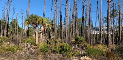 103 Turnstone Dr, Cape San Blas