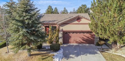 2605 Snow Partridge Drive, Reno