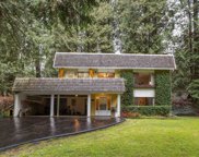 23491 132 Avenue, Maple Ridge image