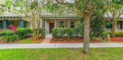 11607 Black Rail Street, Windermere