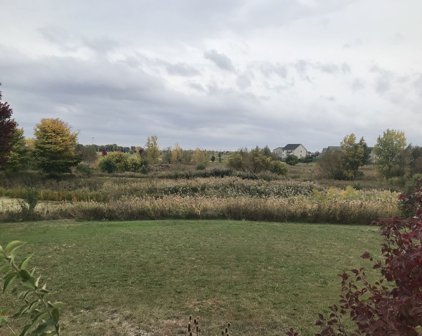16624 S Mueller Circle, Plainfield