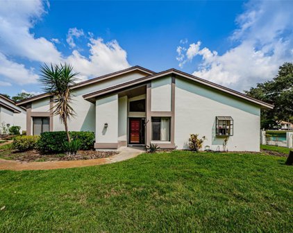 1808 Cypress Trace Drive, Safety Harbor