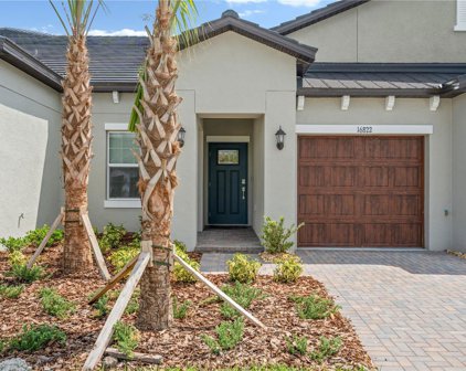 16822 Forge Surf Street, Land O' Lakes