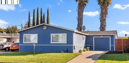1641 Bruce St, Antioch