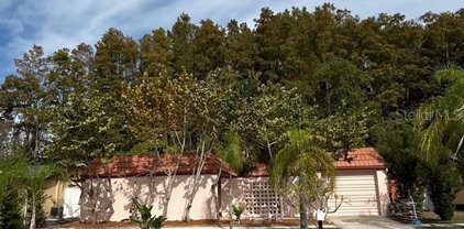 7107 Gulf Highlands Drive, Port Richey