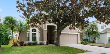 381 Balogh Place, Longwood