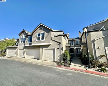 214 Windward Cmn 1, Livermore