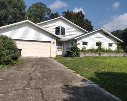 10241 Timber Wolf Court, New Port Richey