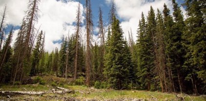 TBD 504 Usfs, Creede