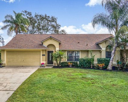 909 Centennial Avenue, Deltona