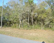 10609 N Skylark Terrace, Dunnellon image