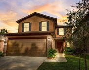 12114 Blooming Willow Drive, Tomball image