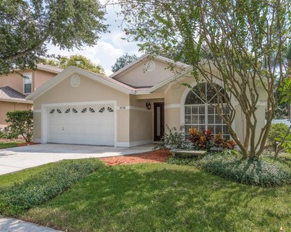 8738 Exposition Drive, Tampa
