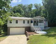 3525 Belmont Road, Irondale image