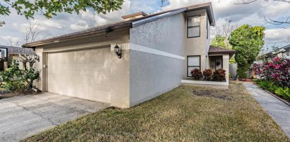 14505 Clifty Court, Tampa