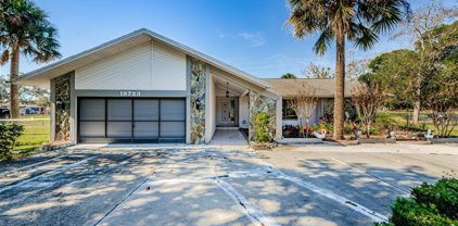 18723 Floralton Drive, Spring Hill