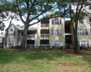 1023 S Hiawassee Road Unit 4016, Orlando image
