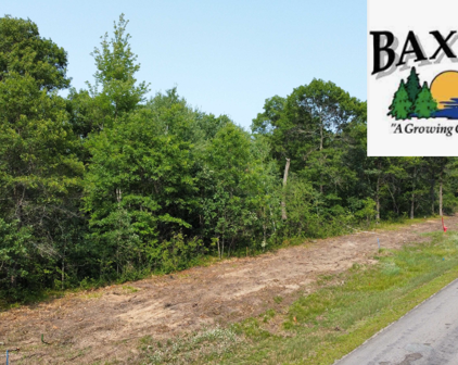 Lot 1 Block 2 Cedar Scenic Road N, Baxter