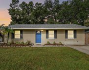 4317 S Renellie Drive, Tampa image