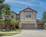10605 Mistflower Lane, Tampa image