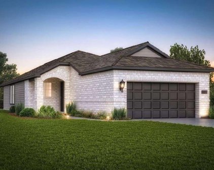 14342 Bluebonnet Bend Court, Willis