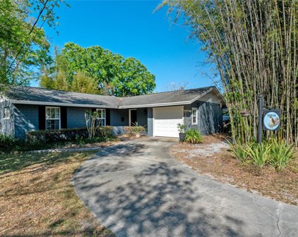 315 Banyan Drive, Maitland