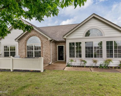 8841 Parkview Oaks Circle, Olive Branch